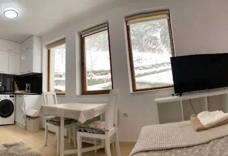 Apartment Ski-in Ski-out Studio, Grand Monastery, *