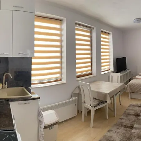 Apartment Ski-in Ski-out Studio, Grand Monastery, Pamporovo