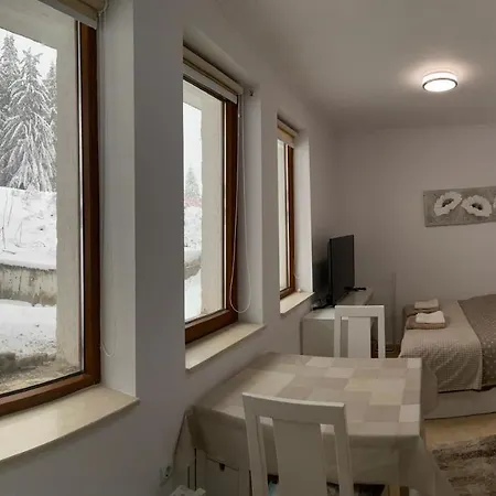 Apartment Ski-in Ski-out Studio, Grand Monastery,