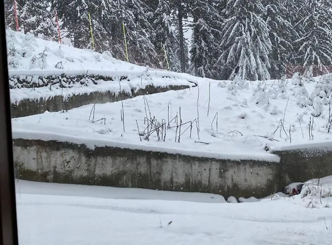 Ski-in Ski-out Studio, Grand Monastery, *