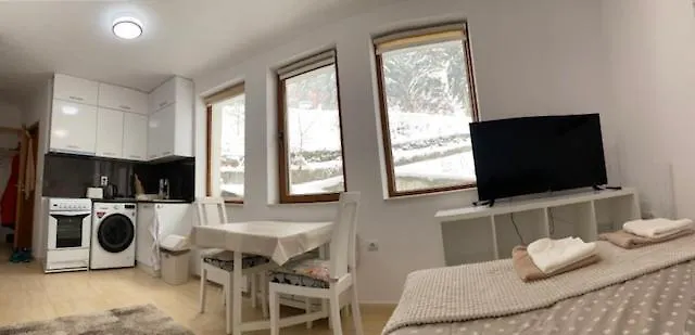 Apartment Ski-in Ski-out Studio, Grand Monastery, *