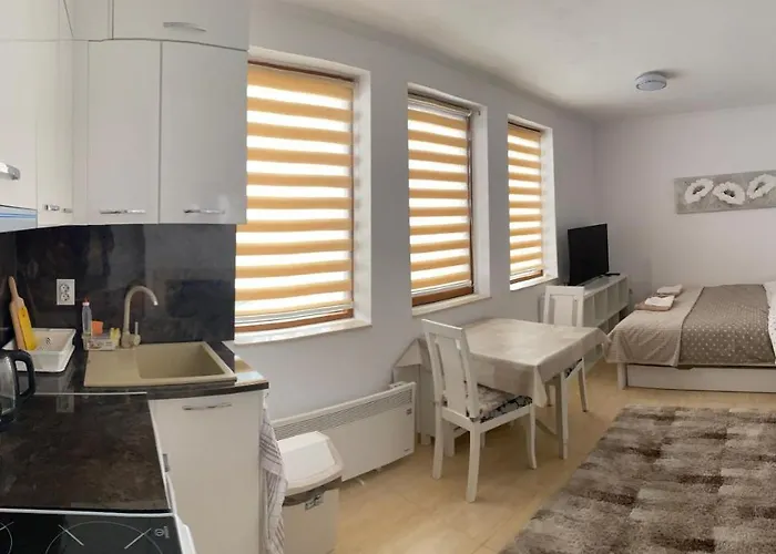 Apartment Ski-in Ski-out Studio, Grand Monastery, Pamporovo