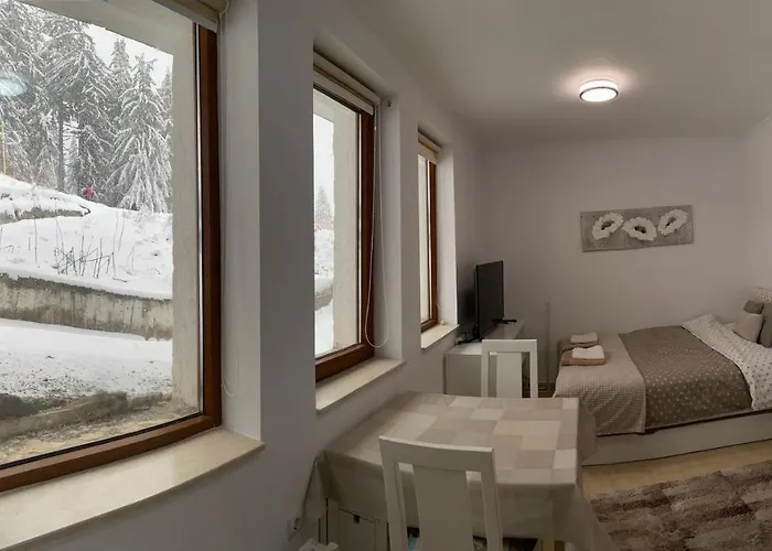 Apartment Ski-in Ski-out Studio, Grand Monastery,