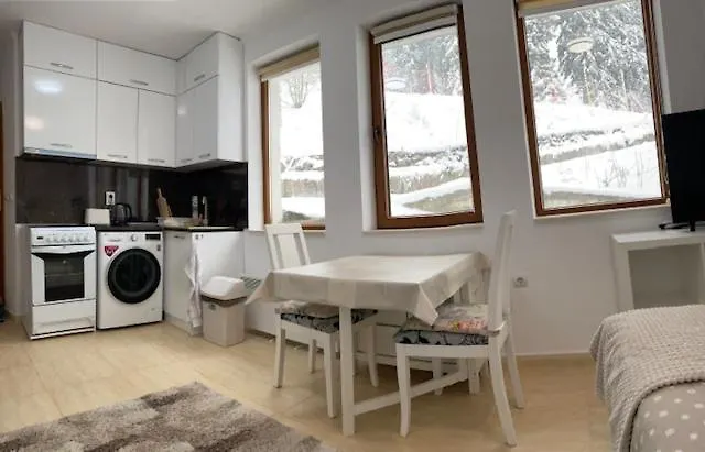 Ski-in Ski-out Studio, Grand Monastery, Daire